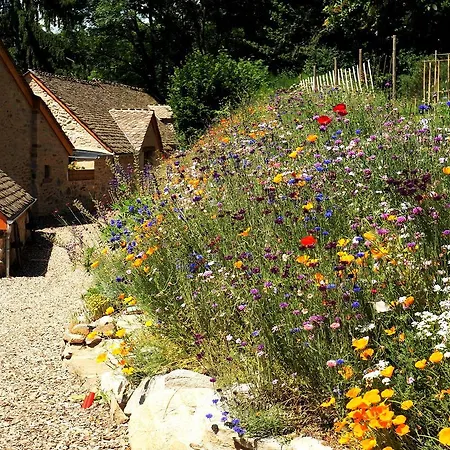 Hébergement de vacances Domaine Des Marequiers Le Asphodèle Saint-Germain-du-Teil