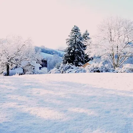 Domaine Des Marequiers Le Asphodele Saint-Germain-du-Teil