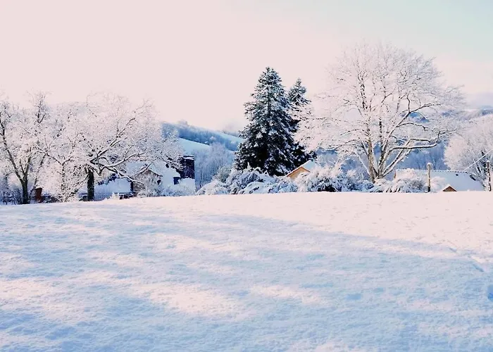 Domaine Des Marequiers Le Asphodele Saint-Germain-du-Teil